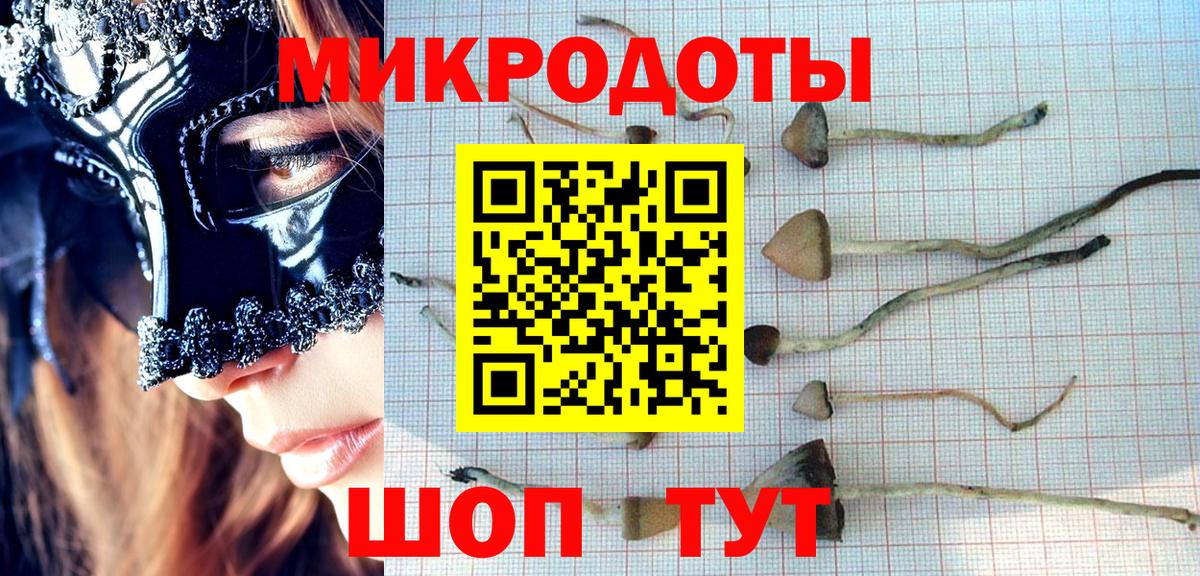 Галлюциногенные грибы мухоморы Кондопога