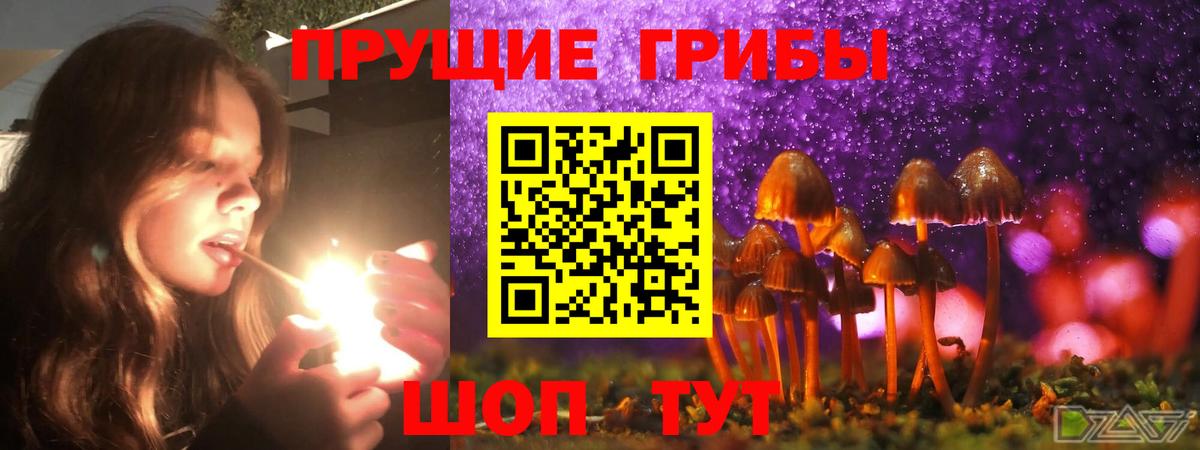 Галлюциногенные грибы Cubensis  Вход с VPN  Кондопога 